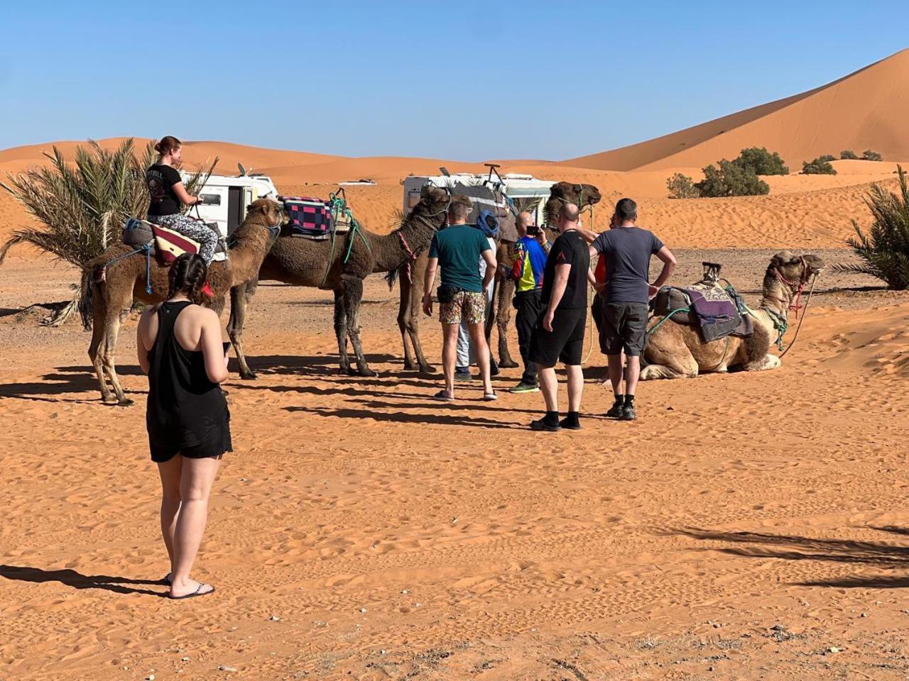 Hotel Camping Les Roses Des Dunes & Piscine Merzouga Exterior photo